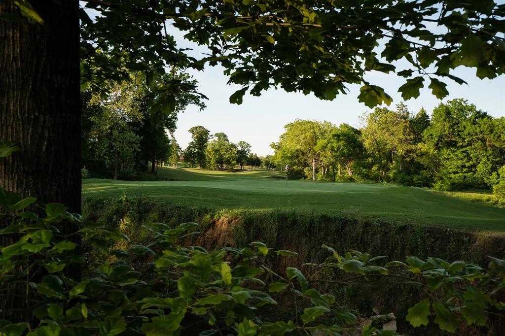 83 Bear Path Road Gordonville, TX 76245 - Photo 5 of 13 a view of a garden with a tree