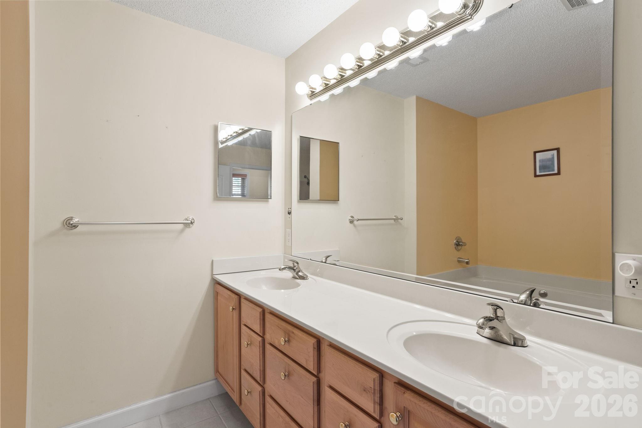 32 Stone House Road Hendersonville, NC 28739 - Photo 24 of 31 a bathroom with a sink and a mirror