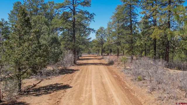 $101,000 | 149-154 Engineer Point, Pagosa Springs, CO 81147