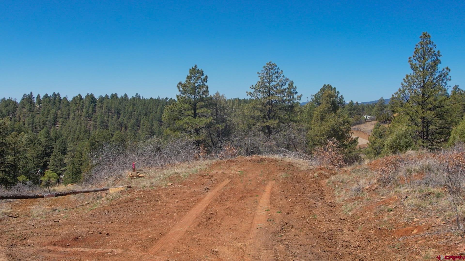 149-154 Engineer Point Pagosa Springs, CO 81147 - Photo 17 of 21 a view of a yard with a tree