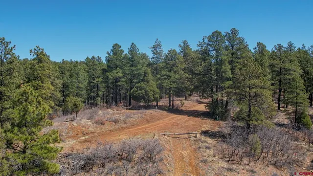 $101,000 | 149-154 Engineer Point, Pagosa Springs, CO 81147