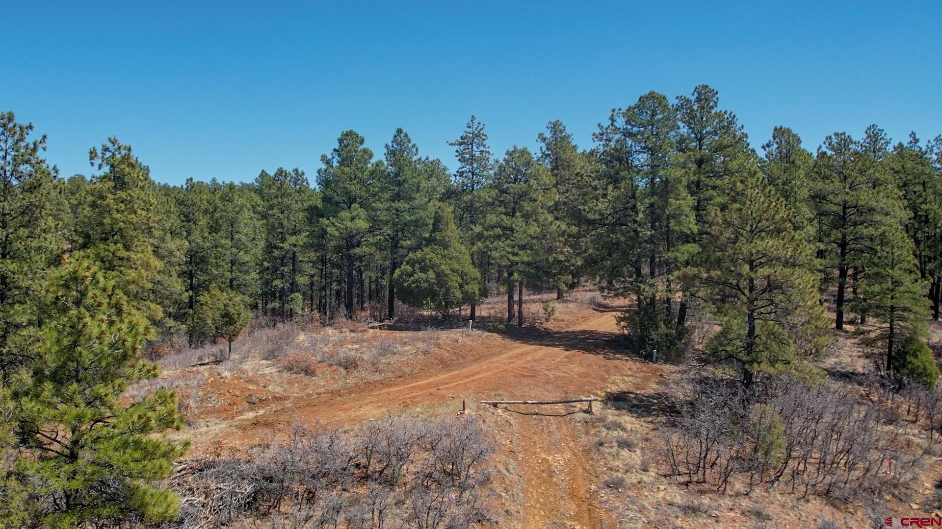 149-154 Engineer Point Pagosa Springs, CO 81147 - Photo 2 of 21 a view of a yard with trees in the background
