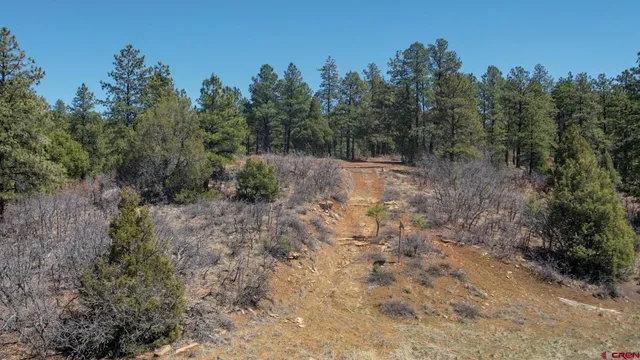 $101,000 | 149-154 Engineer Point, Pagosa Springs, CO 81147