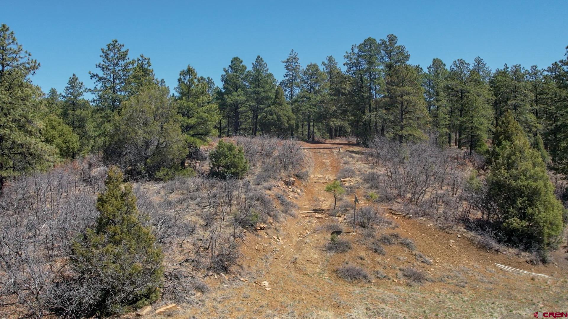 149-154 Engineer Point Pagosa Springs, CO 81147 - Photo 9 of 21 a view of a forest with trees in the background