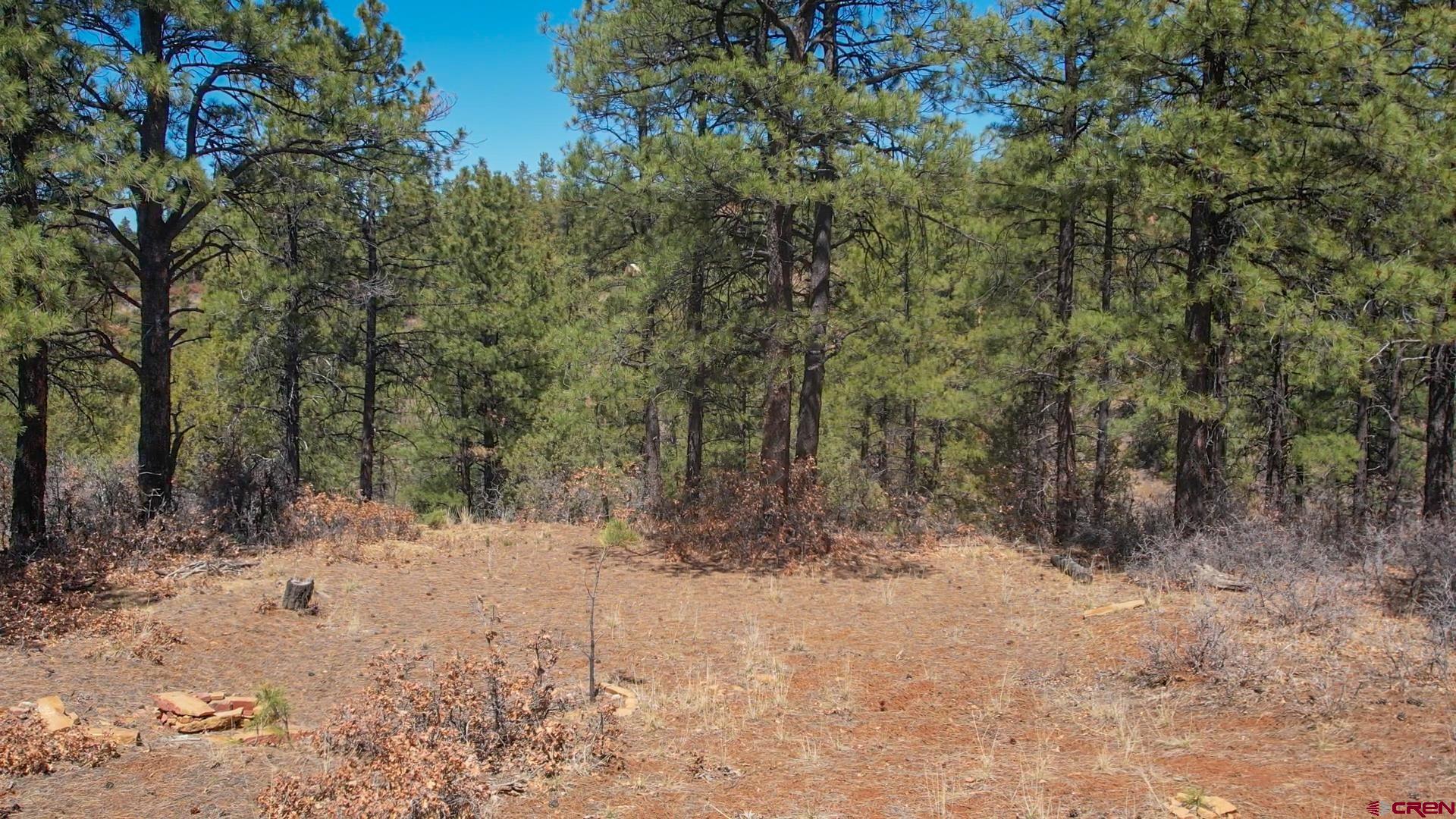 149-154 Engineer Point Pagosa Springs, CO 81147 - Photo 10 of 21 a view of a forest with trees in the background