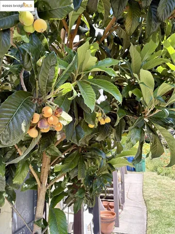a backyard of a house with lots of green space and trees