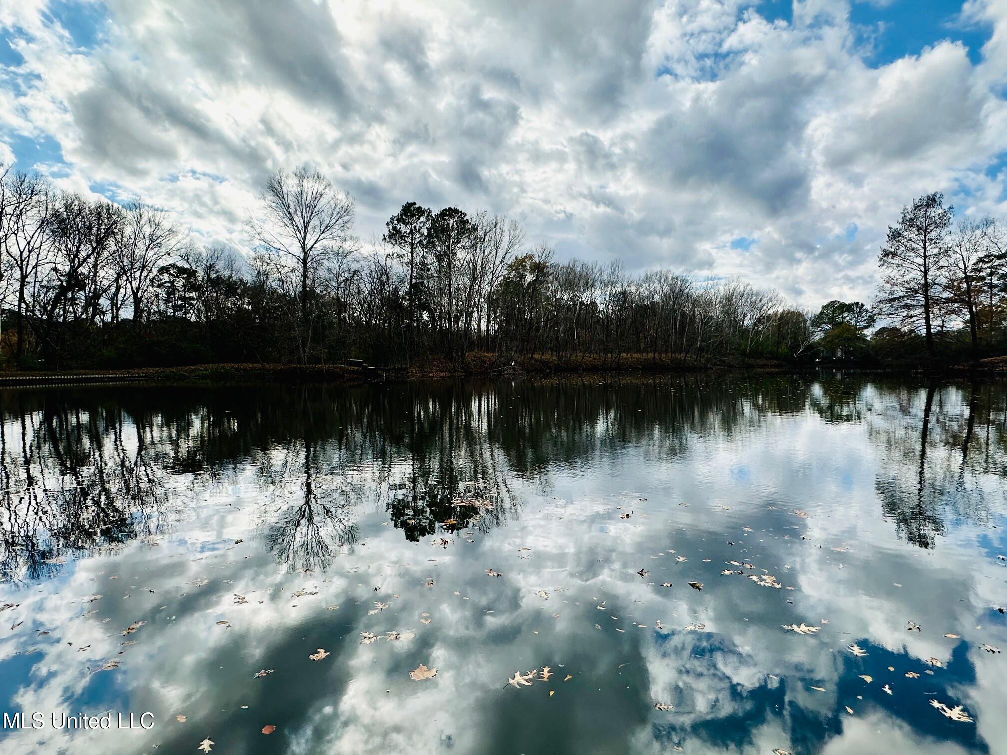 5018 Riverwood Circle Jackson, MS 39211 - Photo 59 of 60 IMG_5940