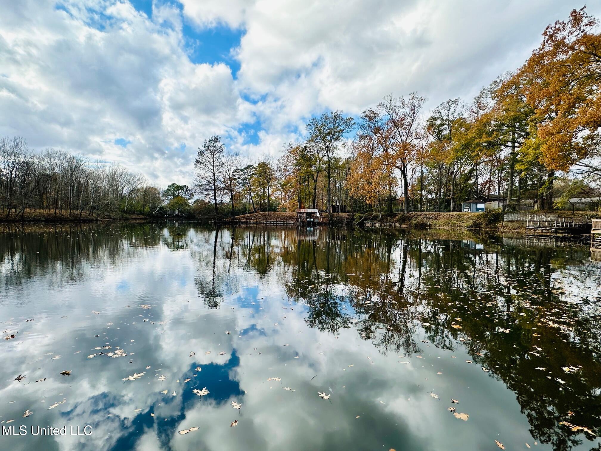 5018 Riverwood Circle Jackson, MS 39211 - Photo 60 of 60 IMG_5941