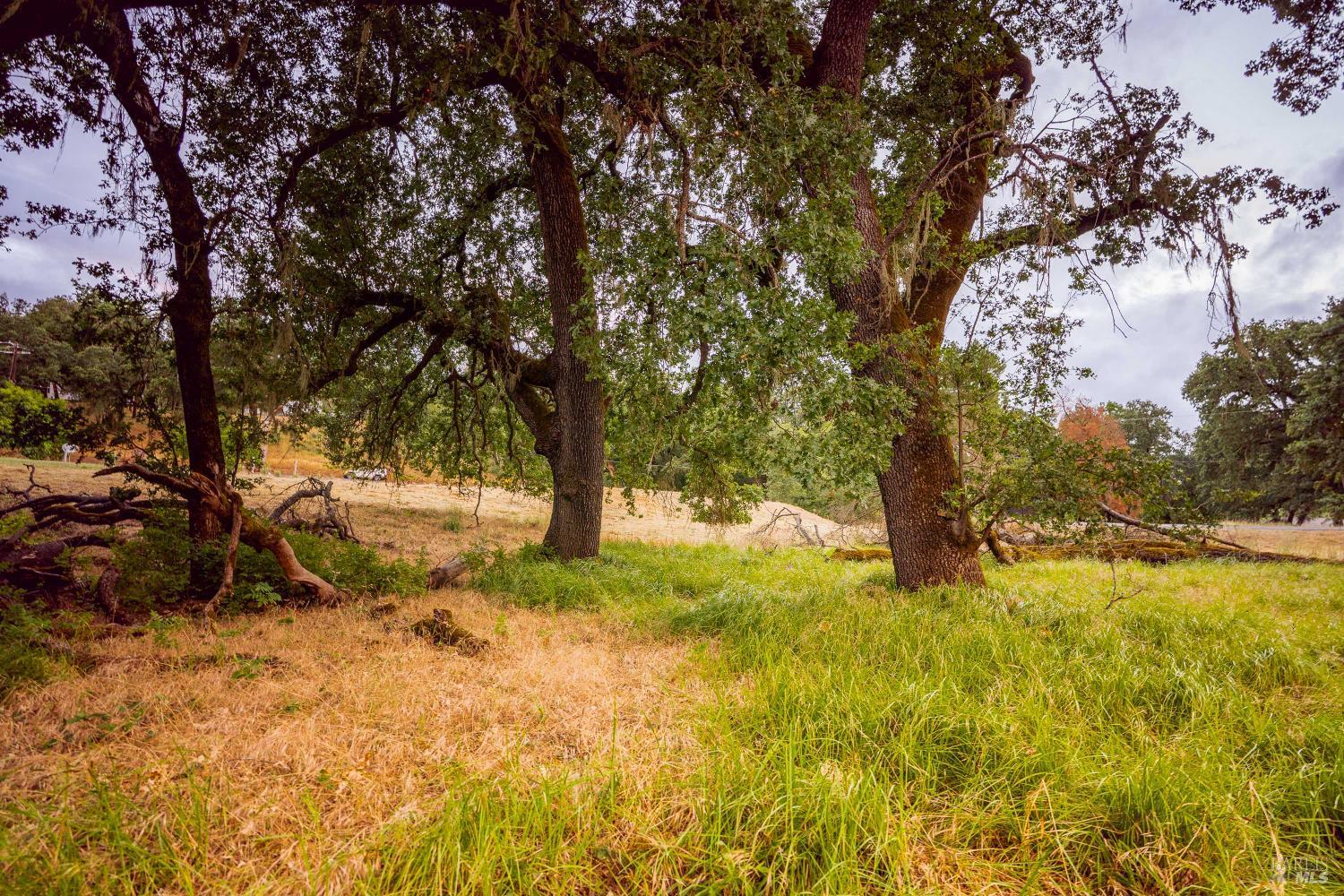 0 Capell Valley Cross Road Napa, CA 94558 - Photo 21 of 34