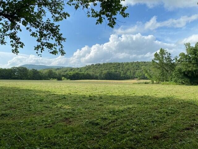 377 Paul Hackworth Road Whitwell, TN 37397 - Photo 1 of 20 Gallery Image 1