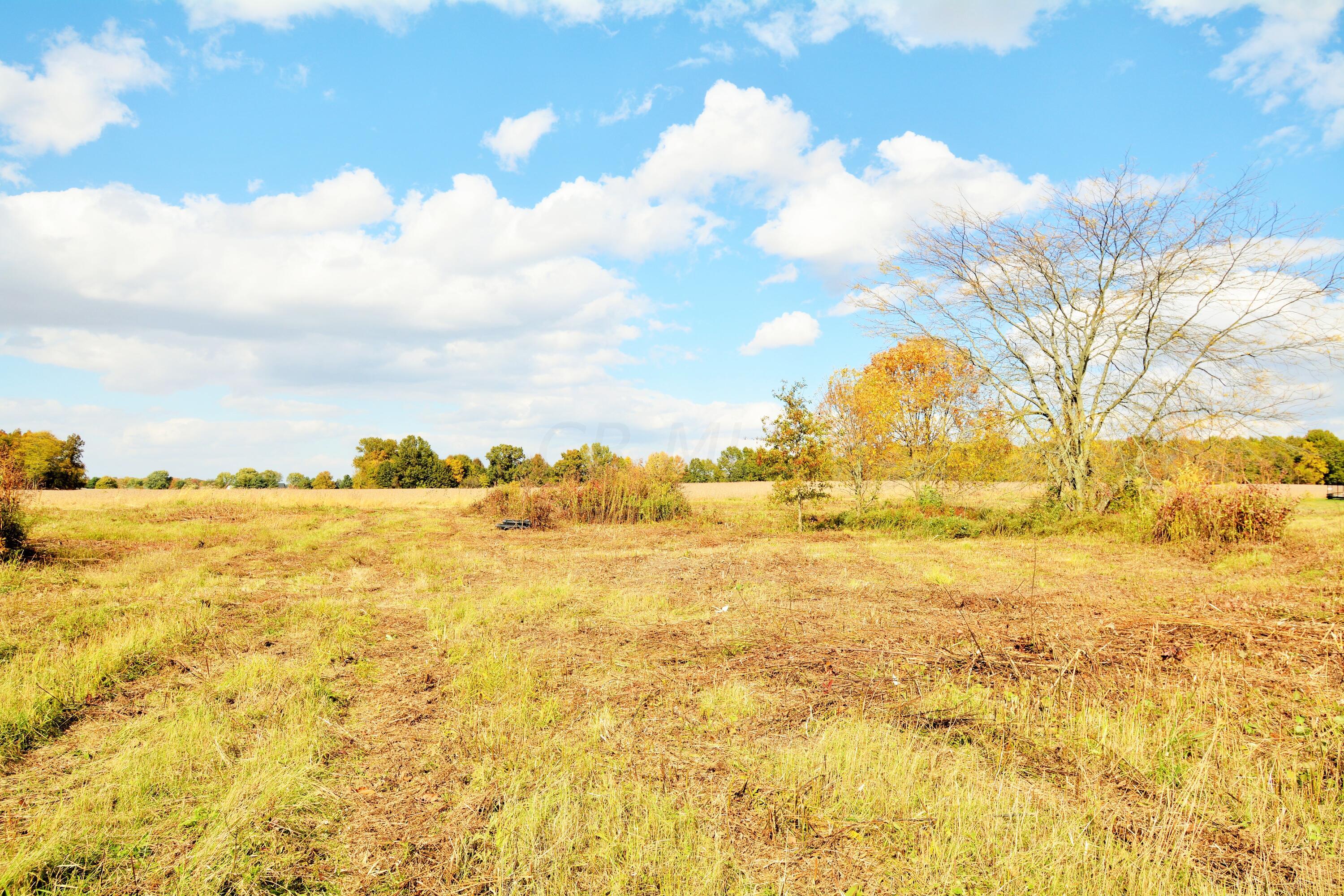 0 Beacom Road Sunbury, OH 43074 - Photo 7 of 15 DSC_3116