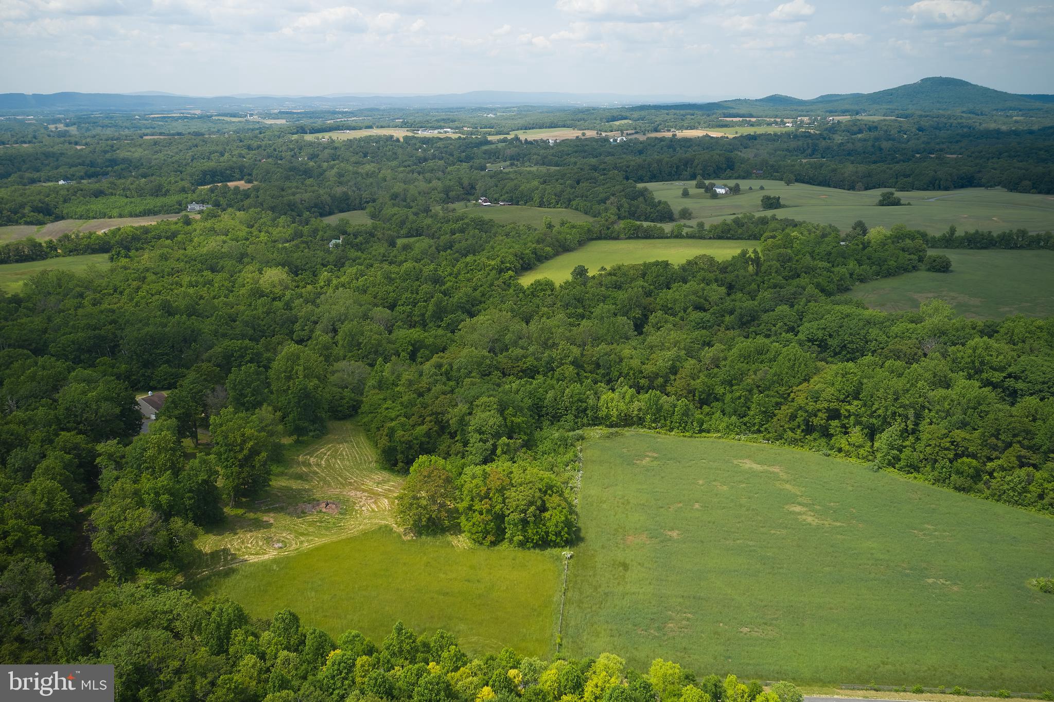 21050 Big Woods Road Dickerson, MD 20842 - Photo 49 of 62