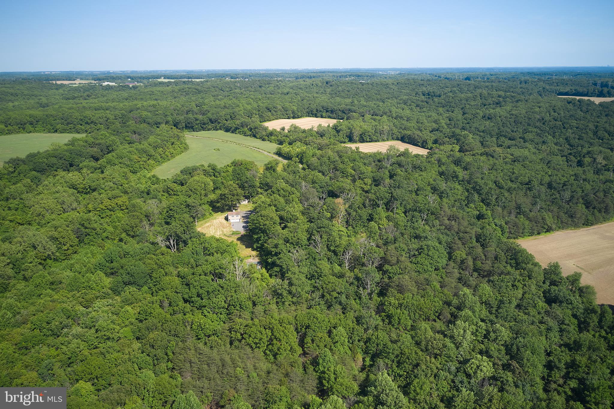 21050 Big Woods Road Dickerson, MD 20842 - Photo 51 of 62