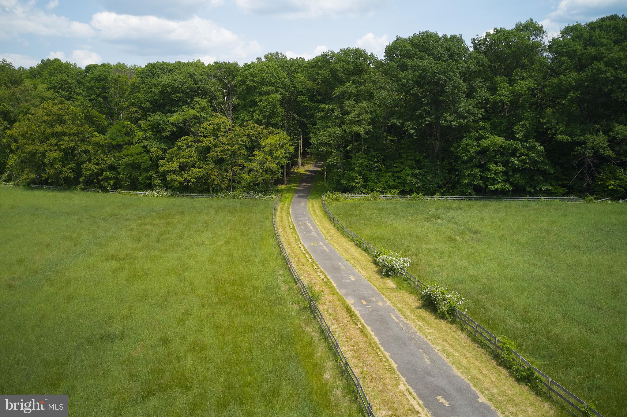 21050 Big Woods Road Dickerson, MD 20842 - Photo 56 of 62