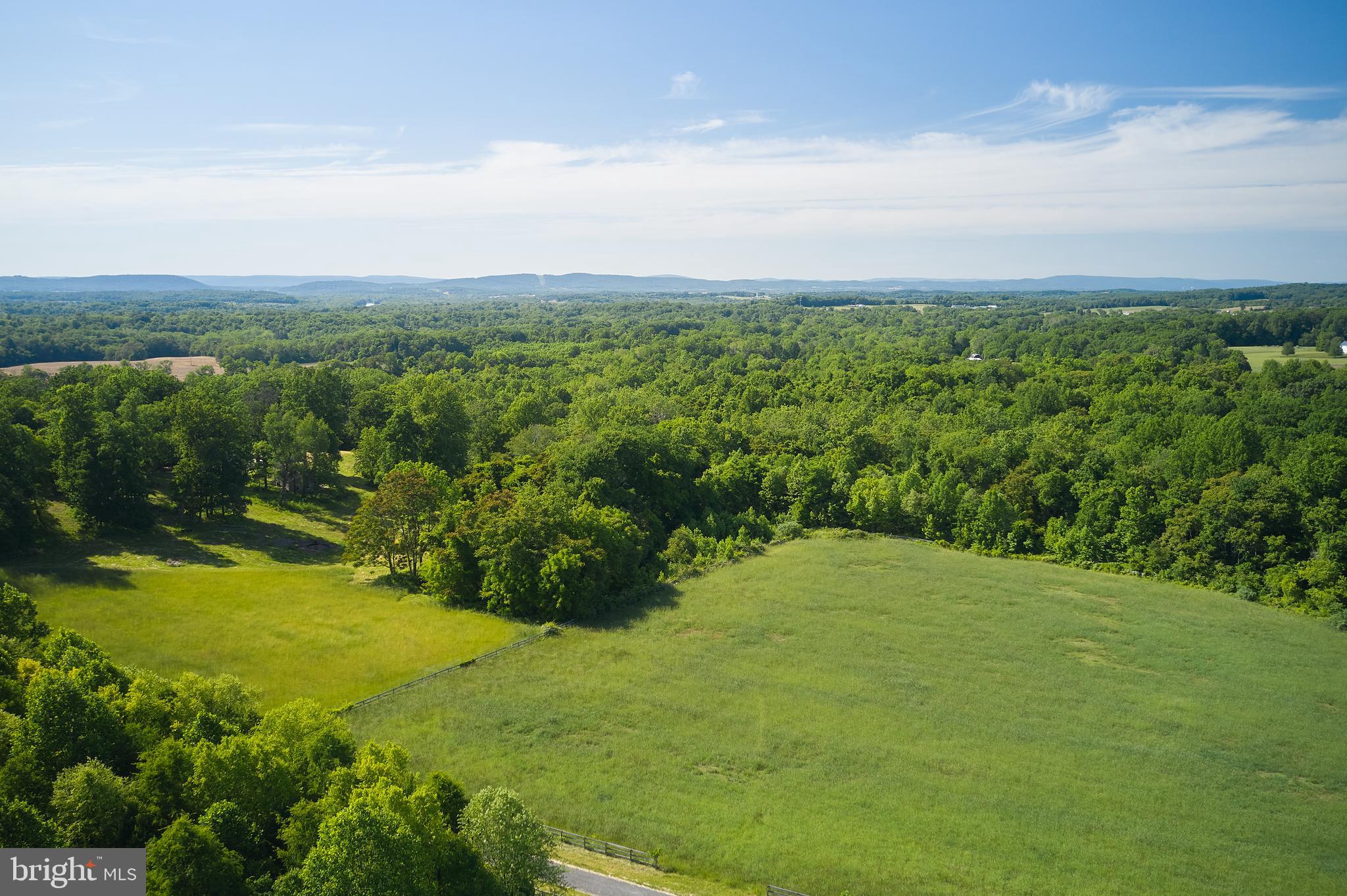 21050 Big Woods Road Dickerson, MD 20842 - Photo 6 of 62