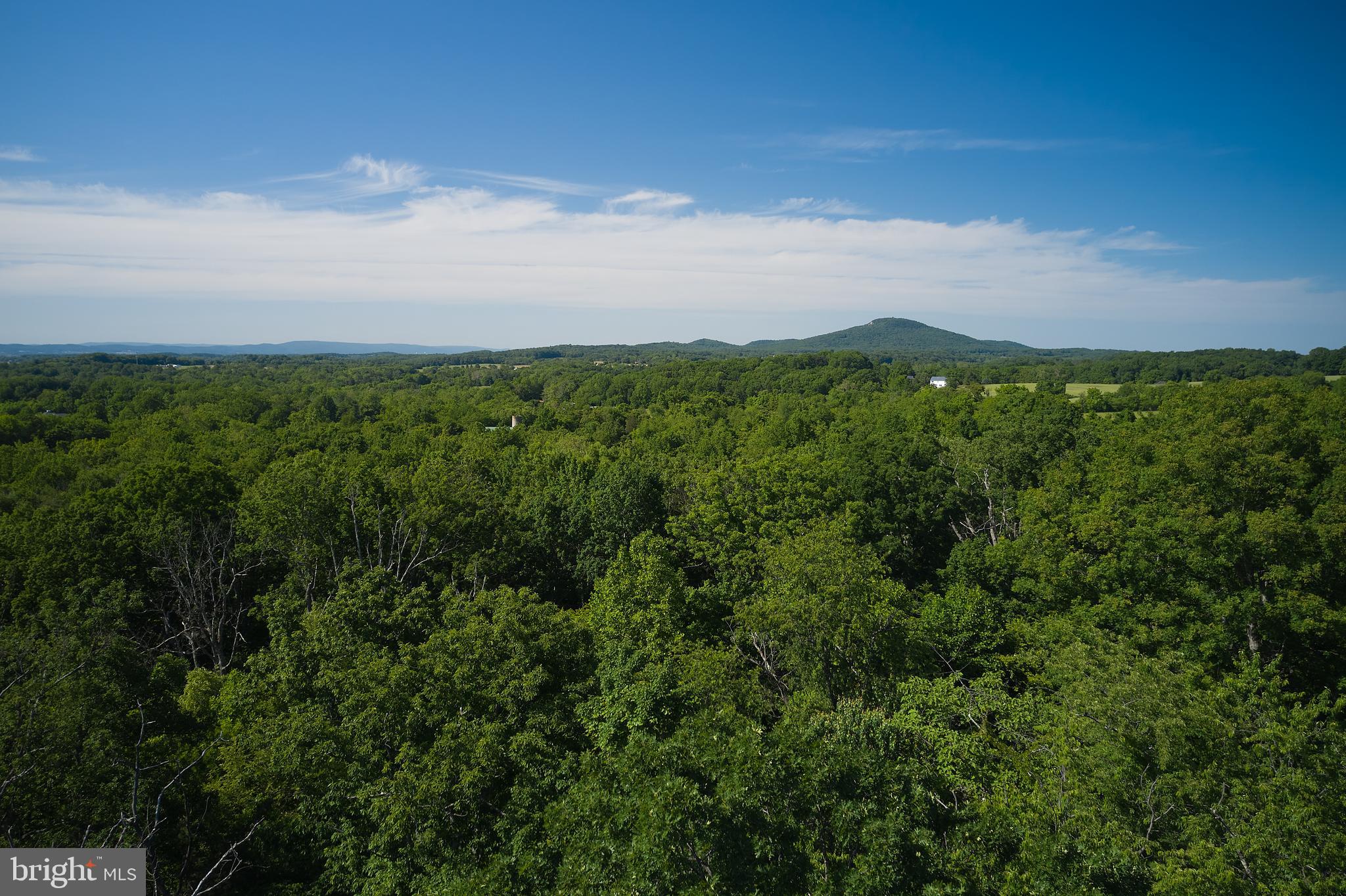 21050 Big Woods Road Dickerson, MD 20842 - Photo 7 of 62 Sugarloaf View