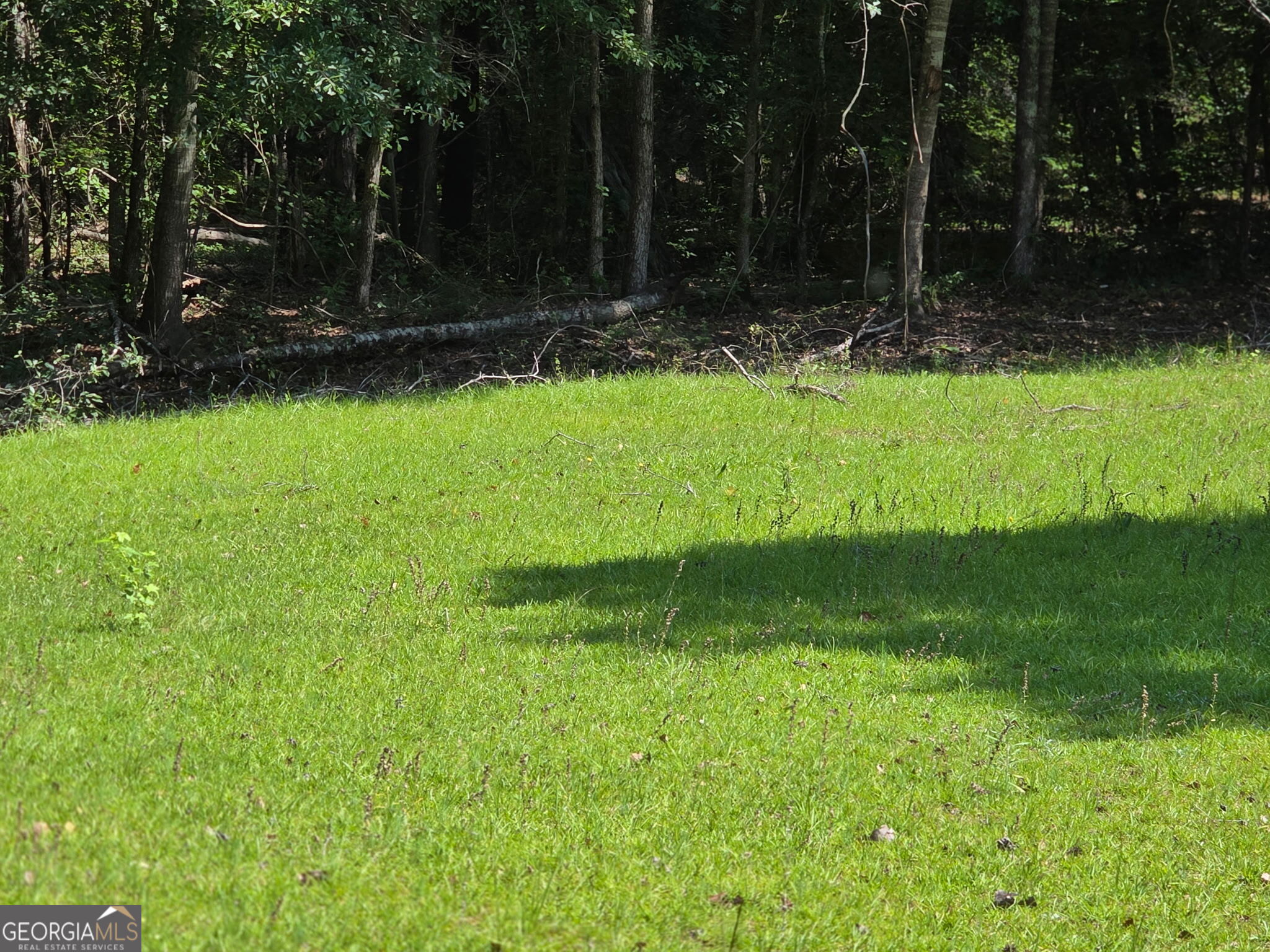 176 Hardie Chapel Road Gordon, GA 31031 - Photo 5 of 6