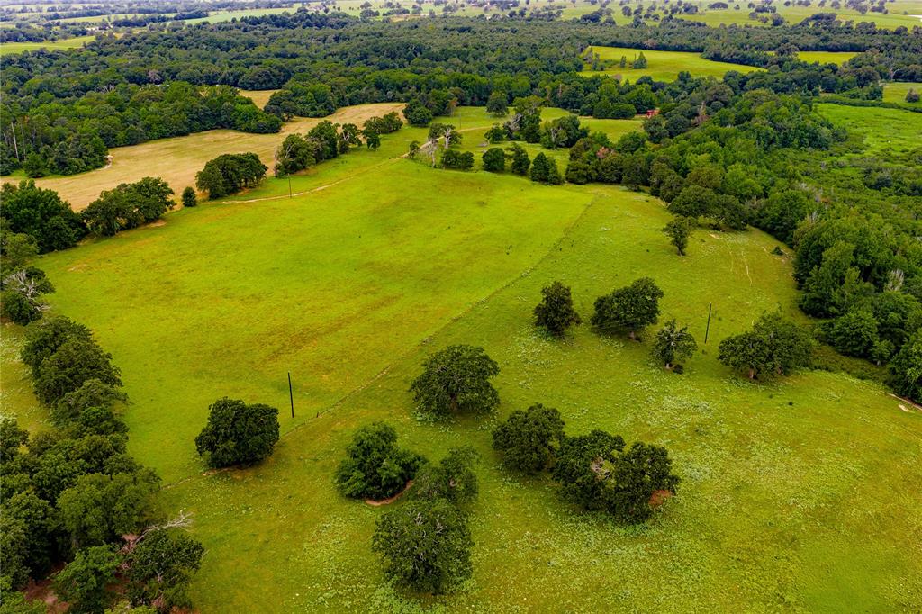 0 County Road 486 Palestine, TX 75803 - Photo 3 of 8 a view of a lake with houses