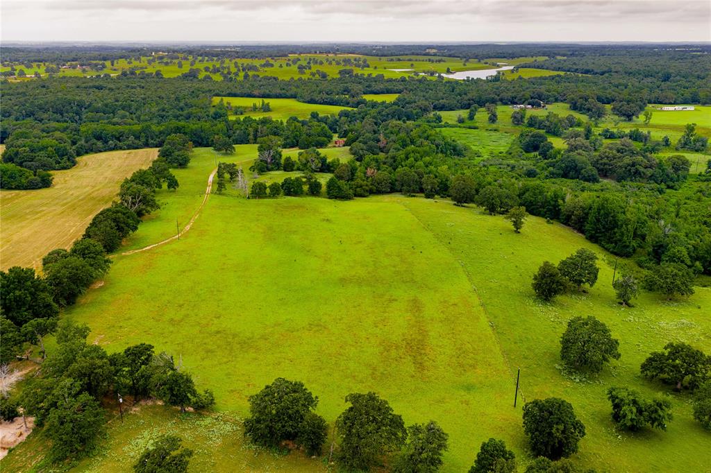 0 County Road 486 Palestine, TX 75803 - Photo 4 of 8 a view of an ocean from a balcony