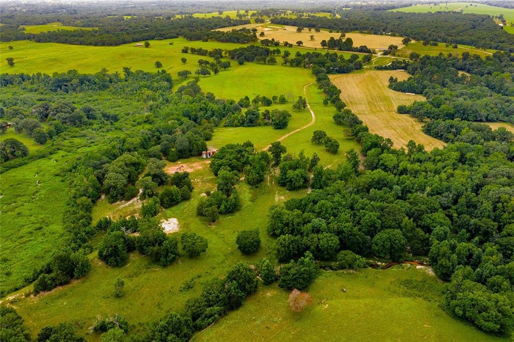 0 County Road 486 Palestine, TX 75803 - Photo 5 of 8 a view of an ocean and a yard