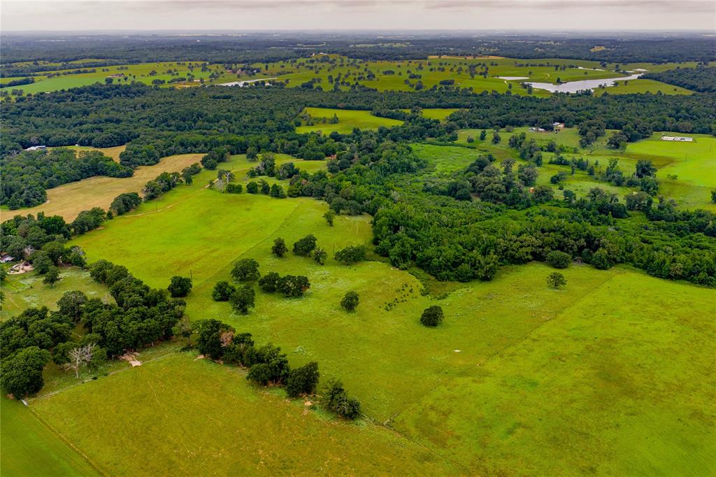 0 County Road 486 Palestine, TX 75803 - Photo 7 of 8 a view of a water pond