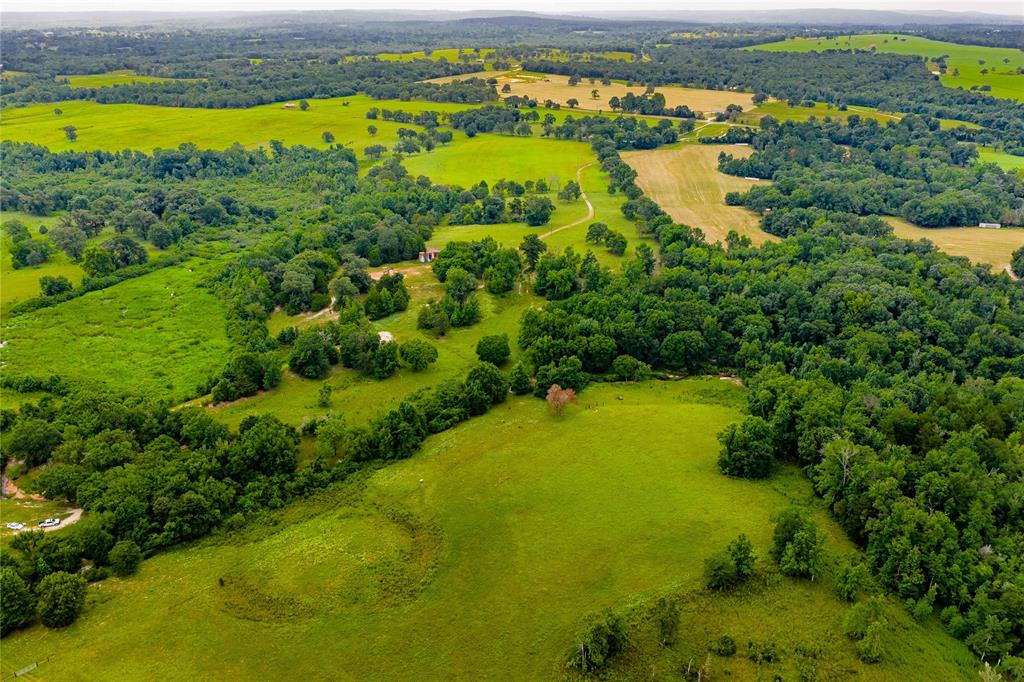 0 County Road 486 Palestine, TX 75803 - Photo 8 of 8 a view of a lake with a city