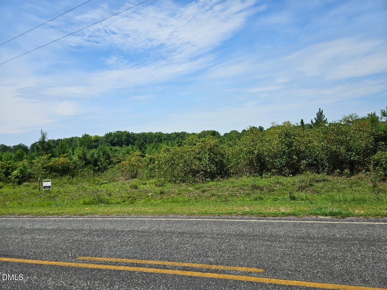 0 Collier Road Wade, NC 28395 - Photo 1 of 4 1000073821