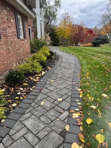 a view of a yard with flower plants