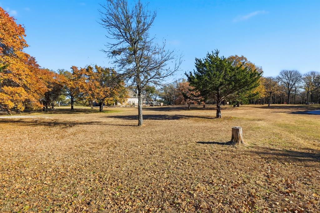277 County Road 1170 Decatur, TX 76234 - Photo 3 of 7 a view of a yard with a tree