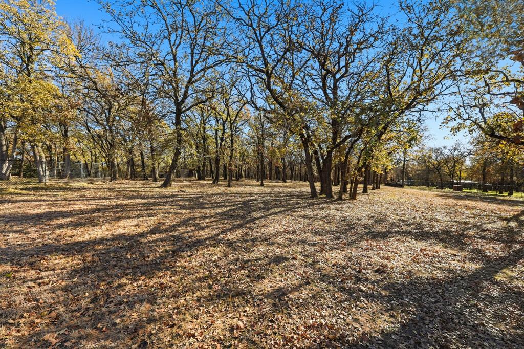 277 County Road 1170 Decatur, TX 76234 - Photo 4 of 7 a view of outdoor space with trees