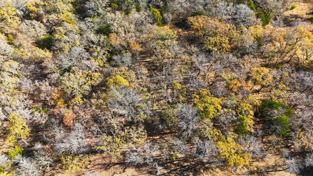 277 County Road 1170 Decatur, TX 76234 - Photo 6 of 7 a view of a tree