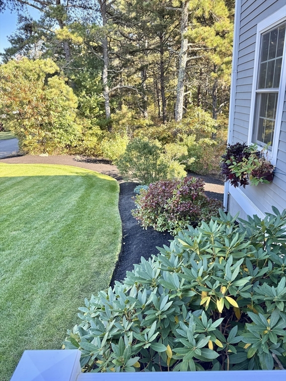 12 Wintergreen Road Mashpee, MA 02649 - Photo 3 of 40 a view of a garden with an outdoor space