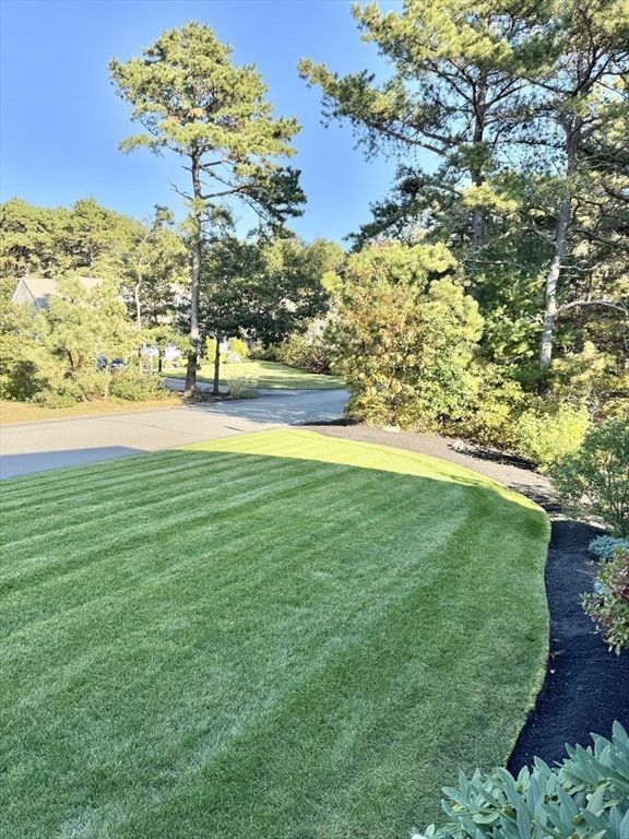 12 Wintergreen Road Mashpee, MA 02649 - Photo 6 of 40 a view of yard with swimming pool and green space