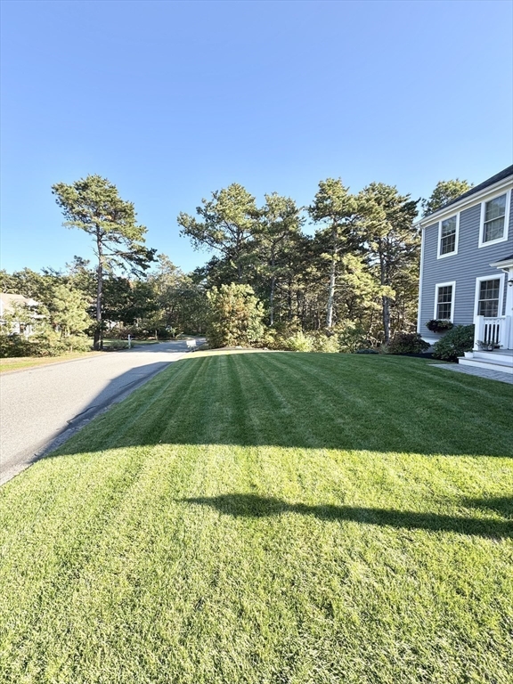 12 Wintergreen Road Mashpee, MA 02649 - Photo 8 of 40 a view of a garden with a building in the background