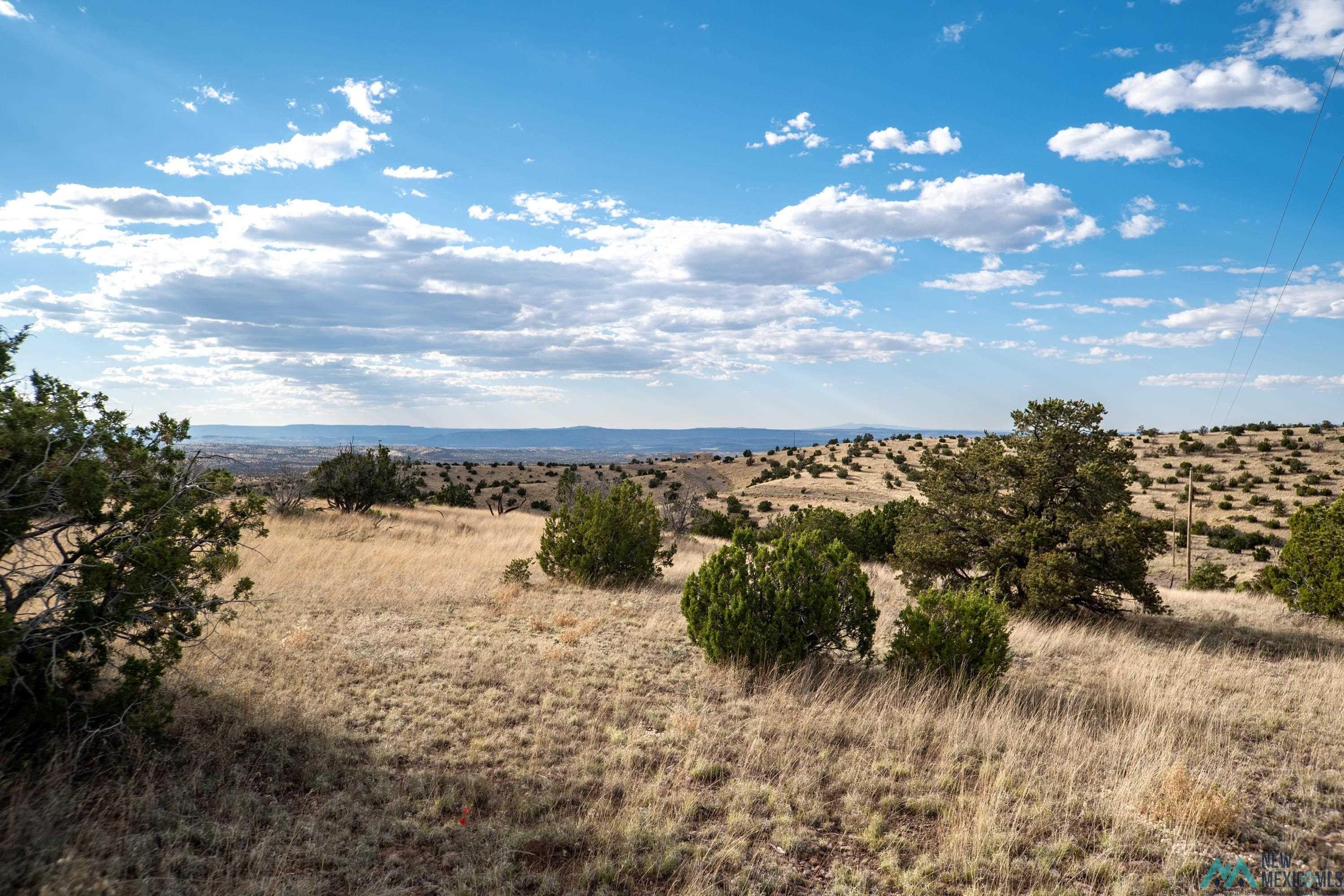123 Ridge Road Magdalena, NM 87825 - Photo 5 of 7 Mountain view featuring rural landscape