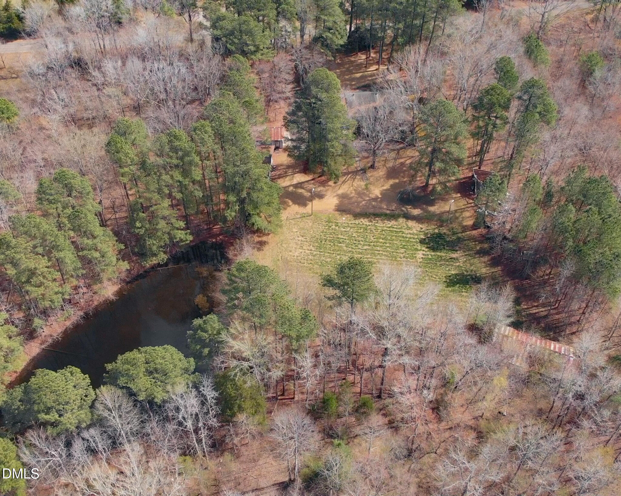 188 Jones Chapel Road Norlina, NC 27563 - Photo 71 of 71 a view of a yard with plants and trees