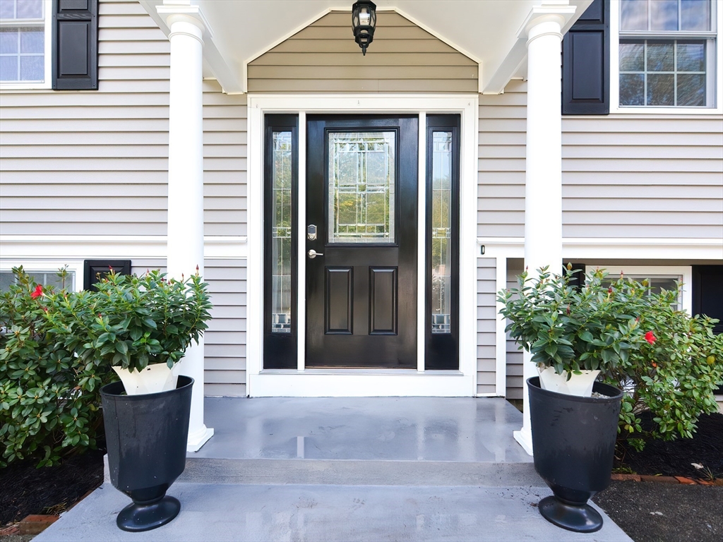 a view of a entryway of the house with potted plants