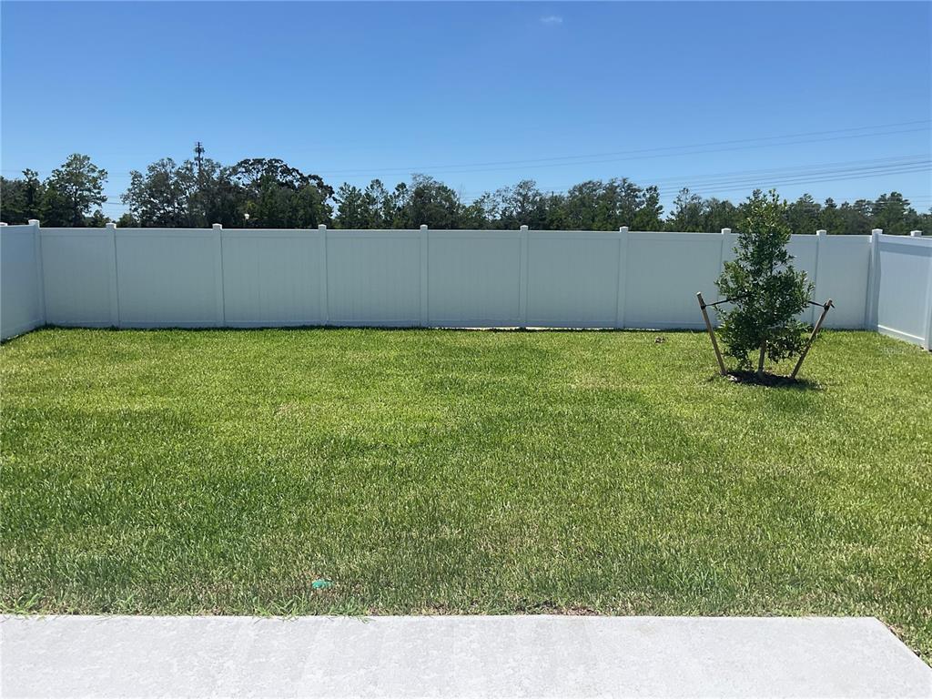 3521 Hornbeam Road Spring Hill, FL 34609 - Photo 5 of 9