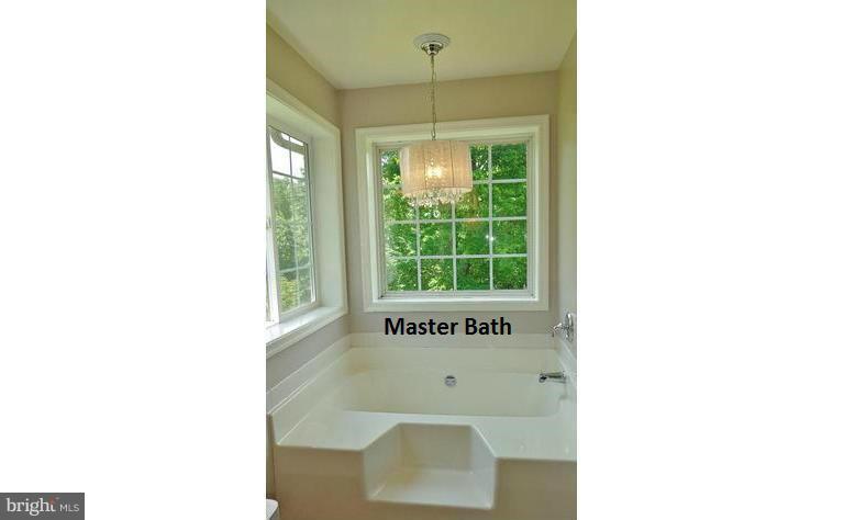 24000 Batna Road Lignum, VA 22726 - Photo 8 of 20 Bath (Master)