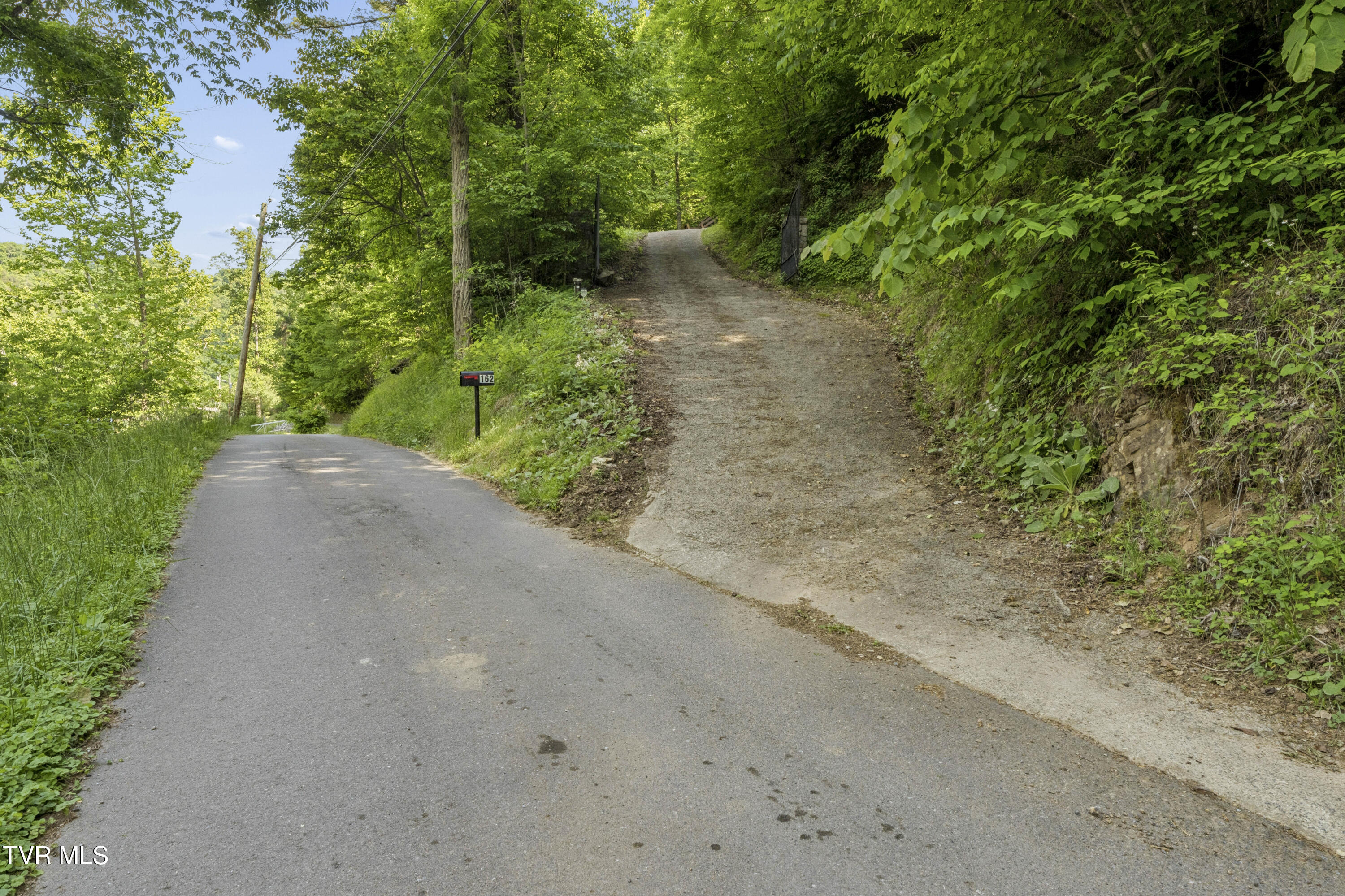162 Cable Hollow Road Butler, TN 37640 - Photo 66 of 85 CableHollow-62