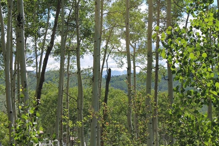 575 Strawberry Park Road Beaver Creek, CO 81620 - Photo 4 of 12 a view of lake from deck