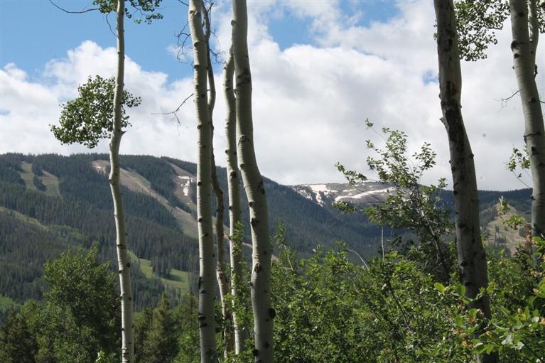 575 Strawberry Park Road Beaver Creek, CO 81620 - Photo 6 of 12 a view of a lake