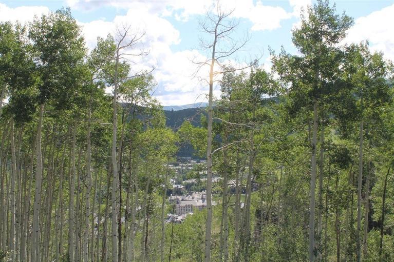 575 Strawberry Park Road Beaver Creek, CO 81620 - Photo 7 of 12 a view of a yard with a tree