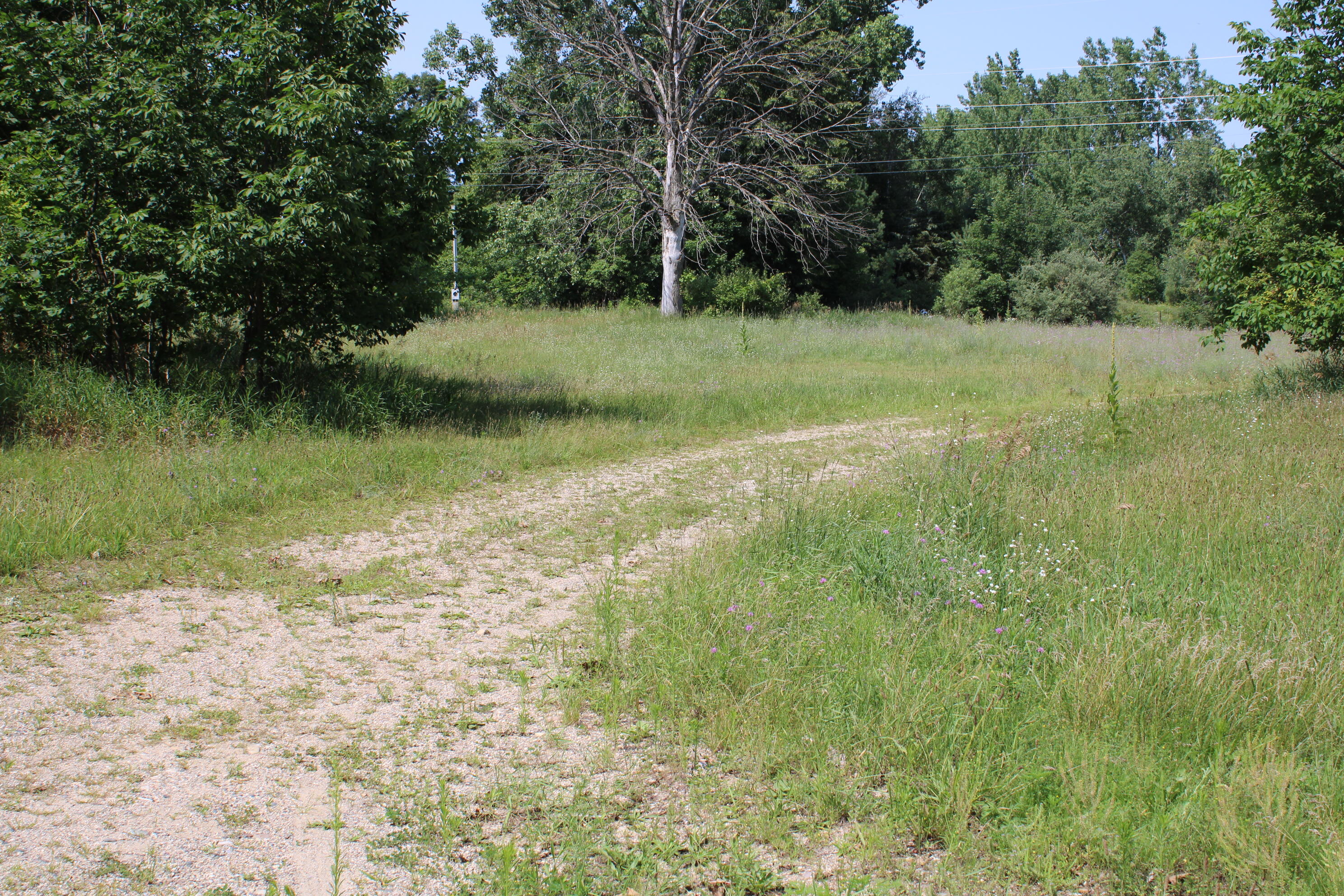 6031 Edgar Road Vestaburg, MI 48891 - Photo 1 of 10 Driveway on property