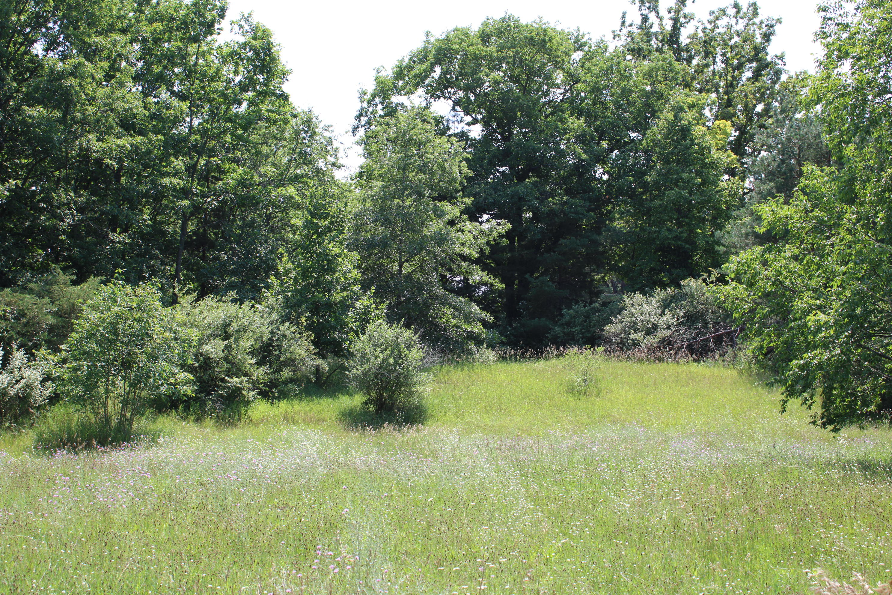 6031 Edgar Road Vestaburg, MI 48891 - Photo 2 of 10 .