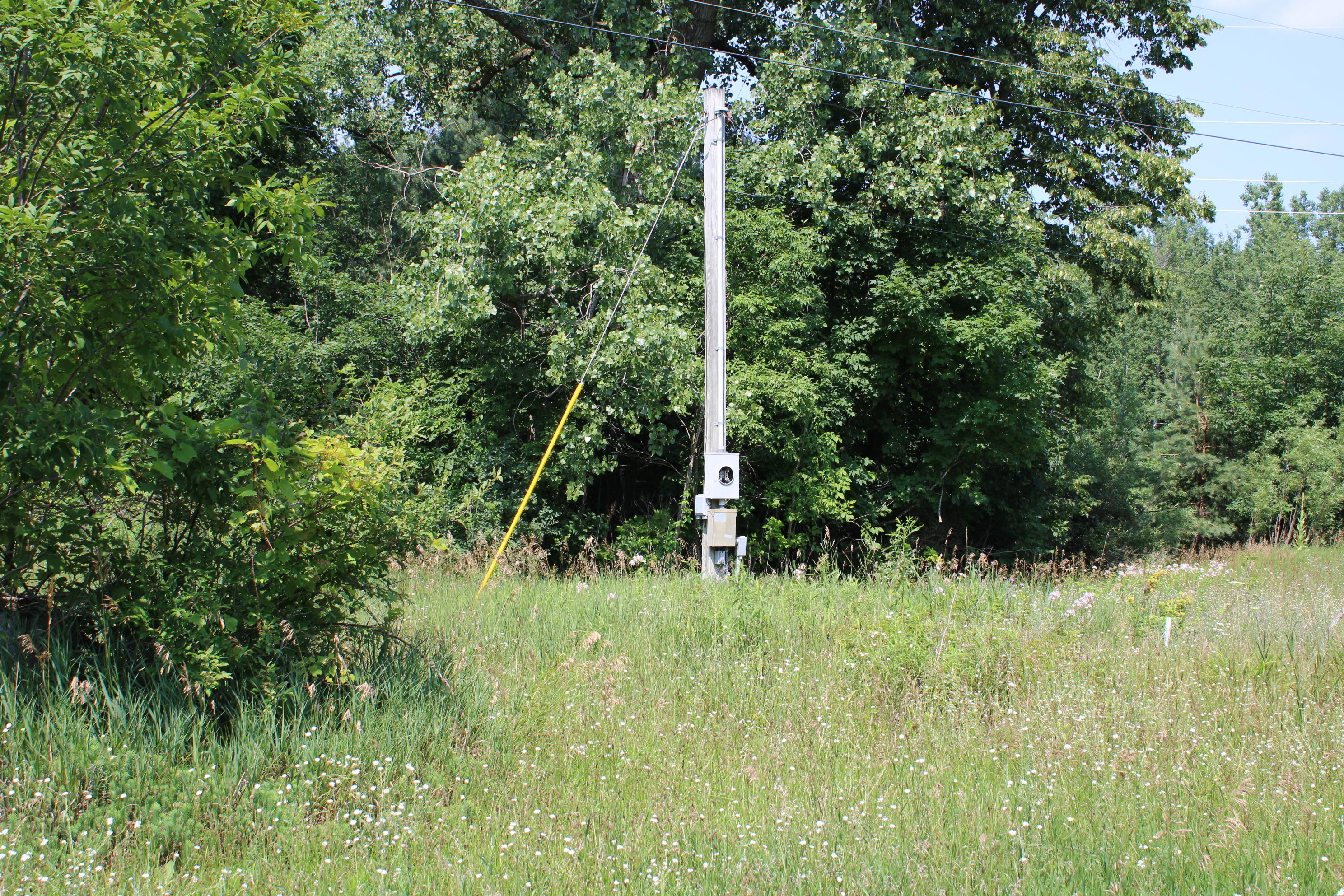 6031 Edgar Road Vestaburg, MI 48891 - Photo 3 of 10 Electric pole