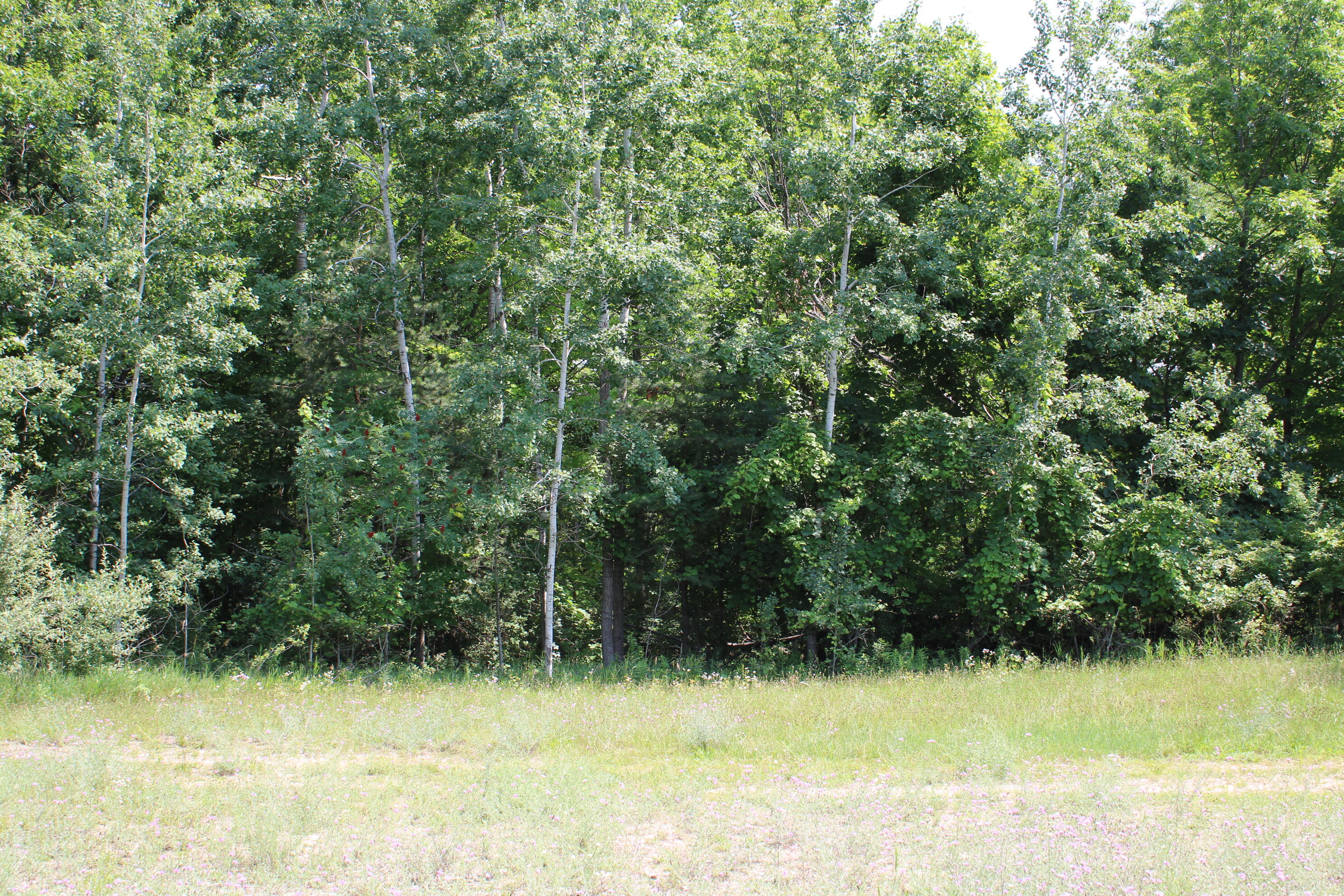 6031 Edgar Road Vestaburg, MI 48891 - Photo 5 of 10 .