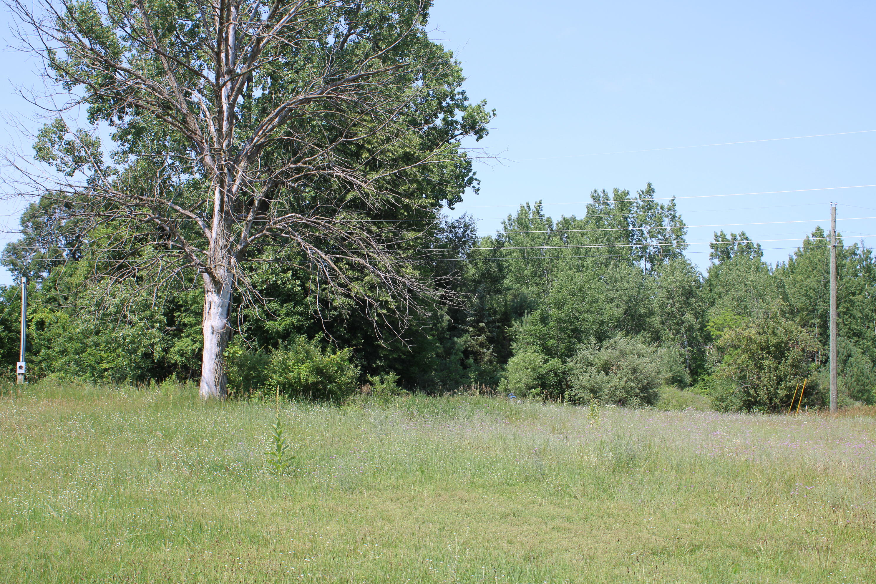 6031 Edgar Road Vestaburg, MI 48891 - Photo 6 of 10 looking from Edgar Rd.