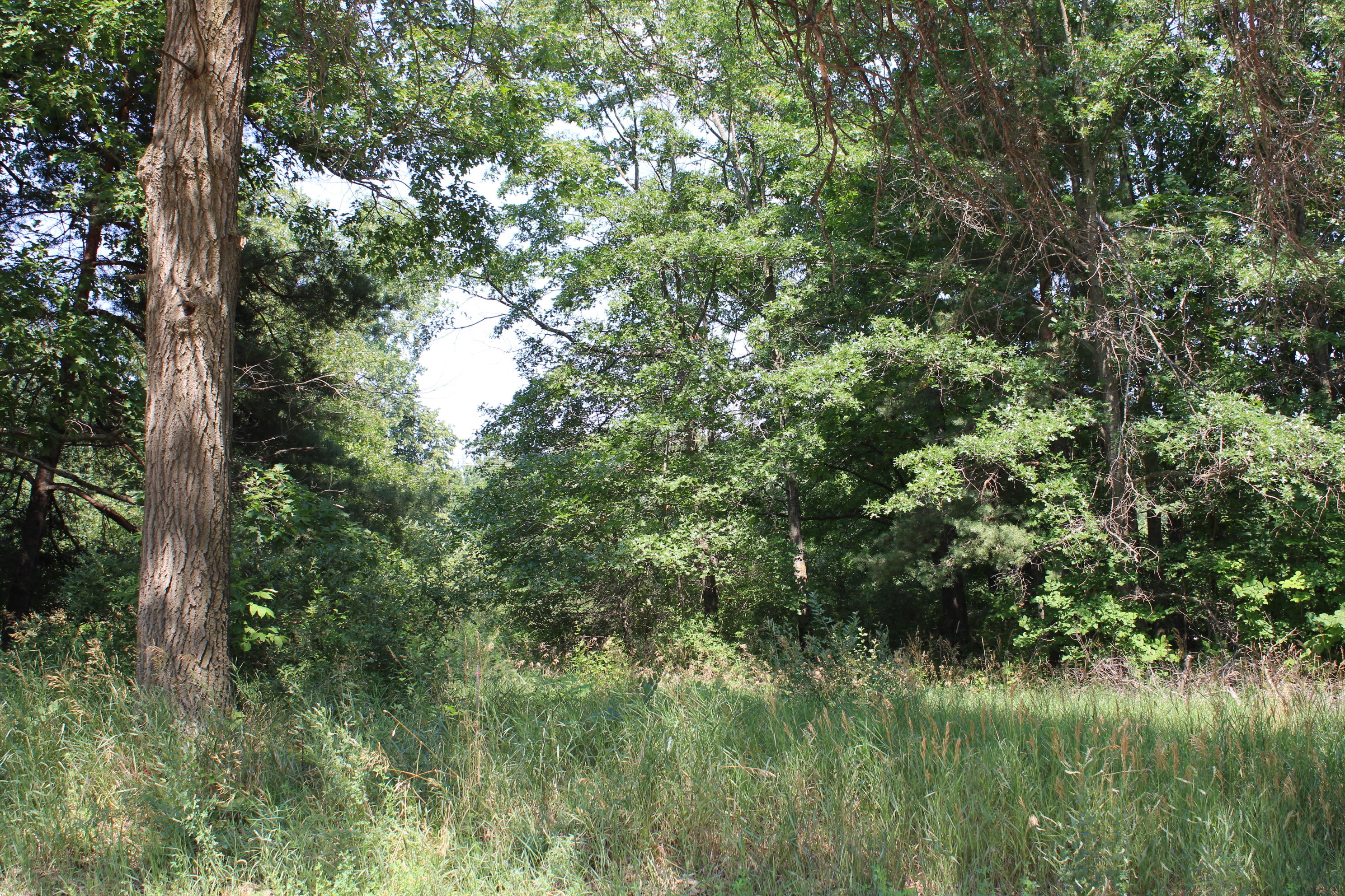 6031 Edgar Road Vestaburg, MI 48891 - Photo 9 of 10 .