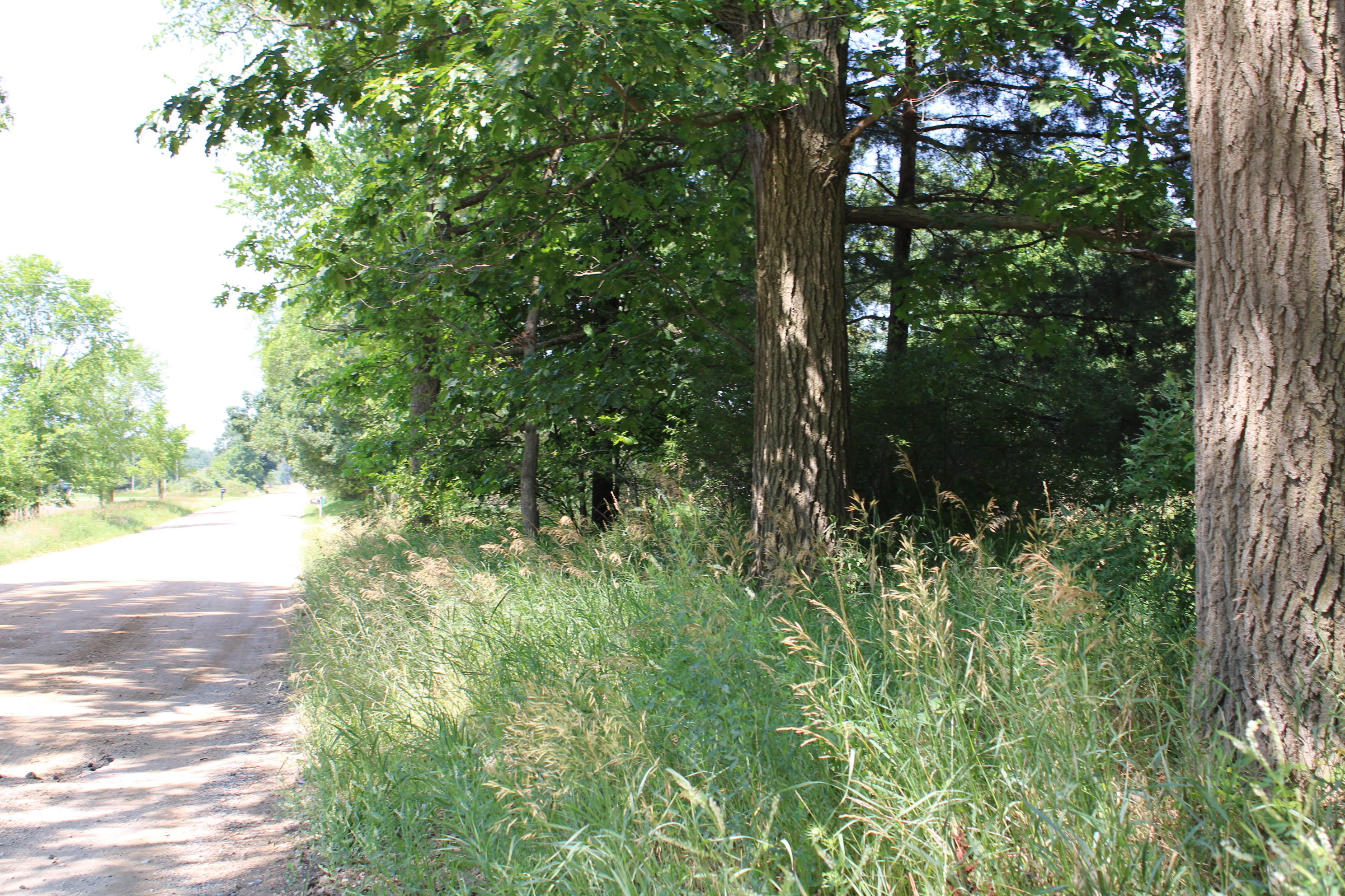 6031 Edgar Road Vestaburg, MI 48891 - Photo 10 of 10 Vickeryville Rd.